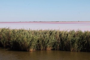 IMG_0714