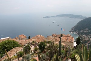 IMG_0796